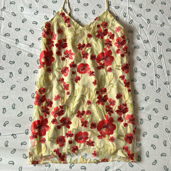 Little moon Cheyenne embroidered slip mini dress - Picture 1 of 6